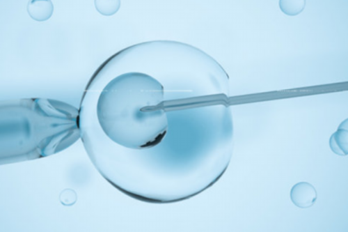 石家庄助孕_石家庄助孕机构