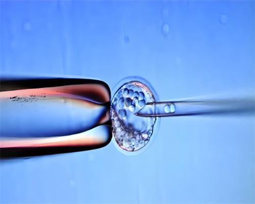 广州供卵机构就选坤和助孕,广州哪个助孕机构好_正规医院有代孕吗