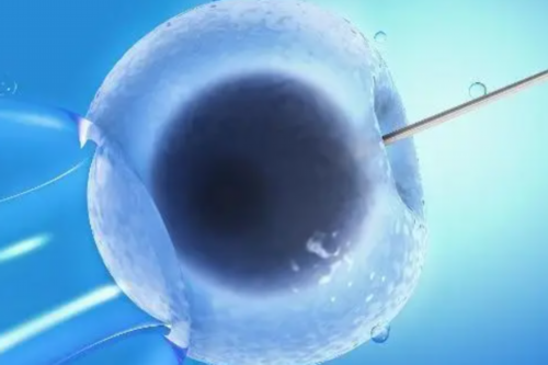 七个月上海助孕宝宝奶量