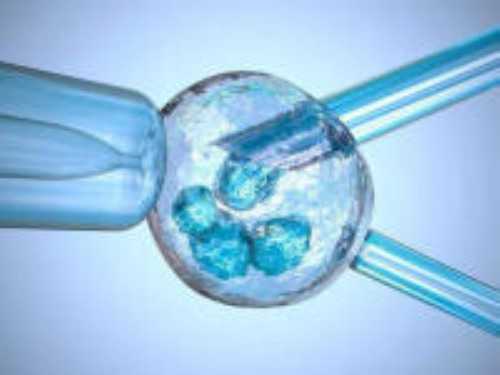 石家庄第三代试管婴儿费用多少,石家庄三代试管包性别