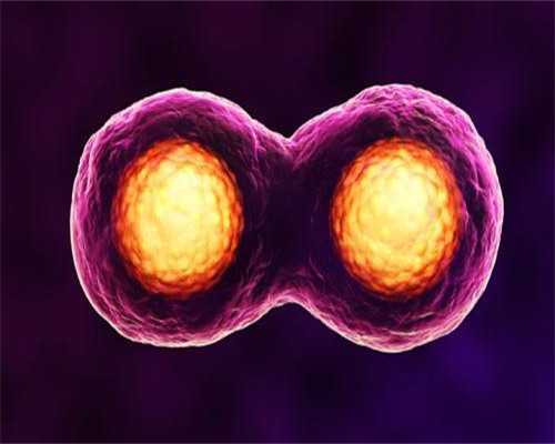 2026湖南长沙不用等的公立供卵机构一次成功率高吗？-石家庄适合猫咪放生的地