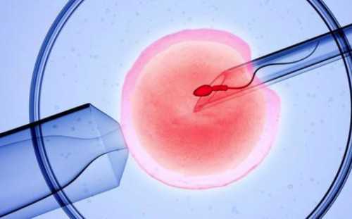 上海助孕宝宝几个月学说话