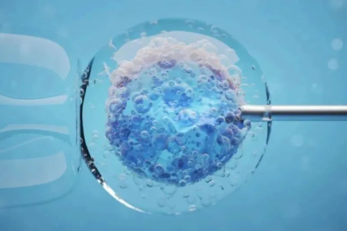 沈阳代怀孕产子价