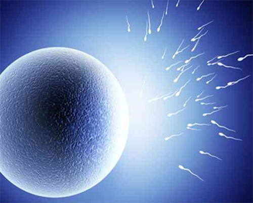 石家庄医院试管怀孕服务石家庄医院专业试管怀孕服务