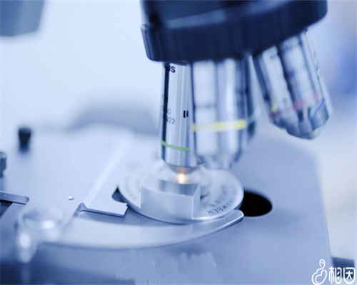 广州助孕坤和地址哪里,广州供卵试管包生男孩的助孕流程_借卵试管