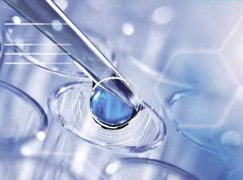 石家庄借卵自怀条件,石家庄助孕网-石家庄辅助生殖中心