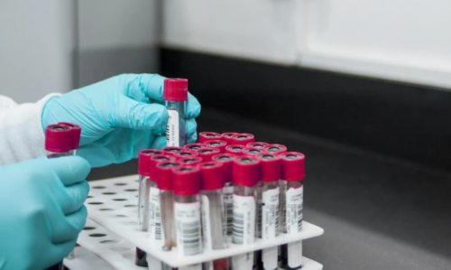 沈阳供卵联系地址