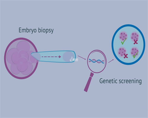 上海哪家医院的试管助孕技术最好？,上海做试管助孕的医院有哪些好？