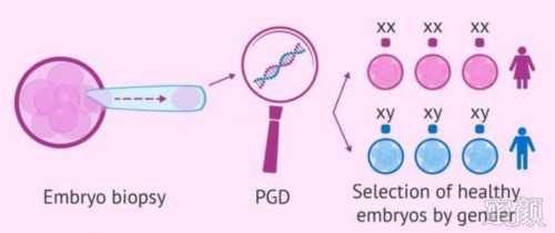 广州试管供卵生子助孕机构排名，附广东助孕机构一览！_哪家代生靠谱