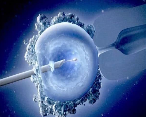 上海新华医院可以申请供卵做试管吗？,2026上海供卵试管三代包生男孩哪里可以