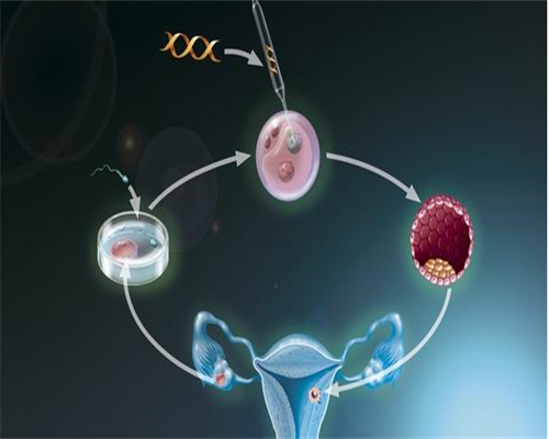 石家庄做三代试管哪个医院最好石家庄做试管婴儿最好的医院