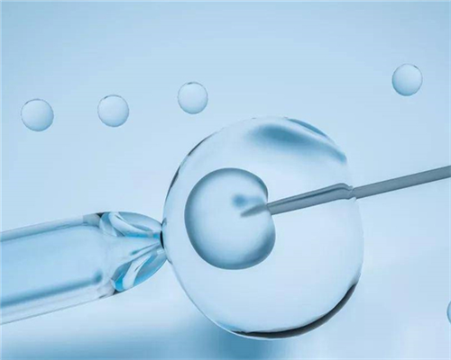 石家庄市人民医院，2026石家庄第一医院助孕经历分享