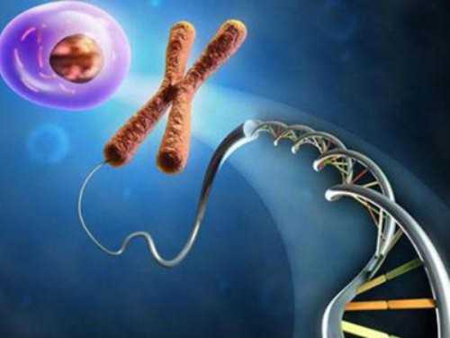 石家庄最好的生殖医院已公布_石家庄最好的生殖科三甲医院