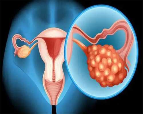 2026长沙做试管捐卵机构排行榜,2026长沙做试管捐卵费用明细揭晓