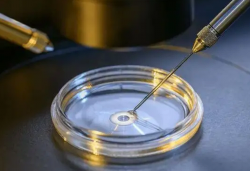 上海怎么找借腹生子中介,上海供卵试管价格多少钱,【上海代孕基地，孕育奇迹