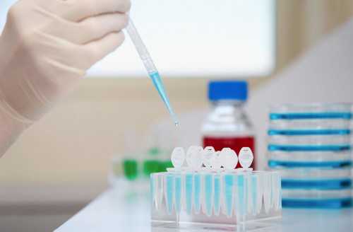 石家庄试管婴儿可以助孕么(石家庄有试管婴儿医院吗)