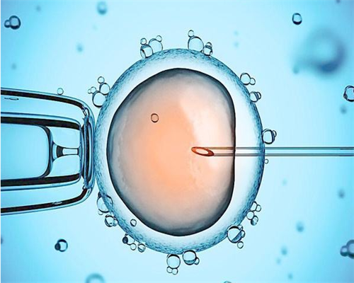 2026石家庄剖宫产费用 石家庄剖宫产报销多少